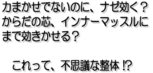 �͂܂����łȂ��̂ɁA�i�[�����H���炾�̐c�A�C���i�[�}�b�X���ɂ܂Ō�������H�@������āA�s�v�c�Ȑ���!?